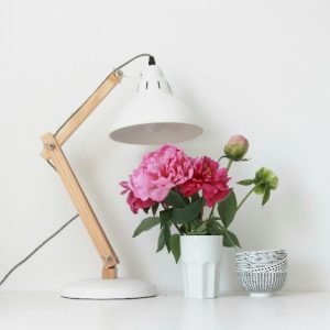 Home hyperlight desk lamp 1